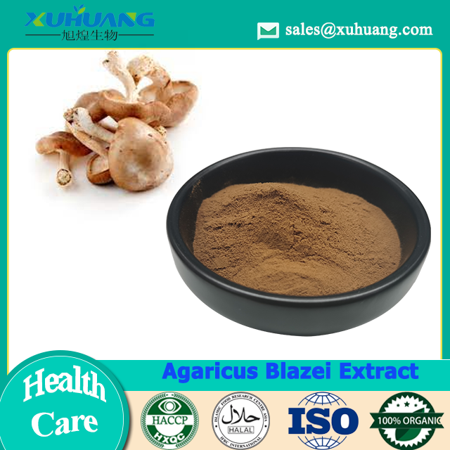 Экстракт Agaricus Blazei